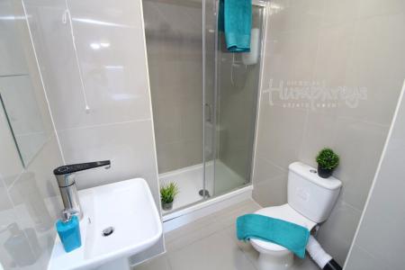 1 bedroom Property to let in Infirmary Road, S6