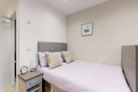 1 bedroom Studio flat to let in St Marys Road - S2 - Available 1st Feb