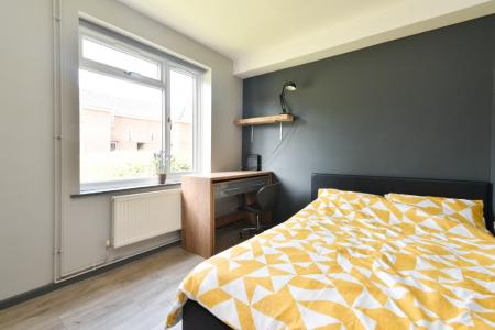 6 bedroom Semi-detached house to let in Buckingham Road, Norwich, NR4