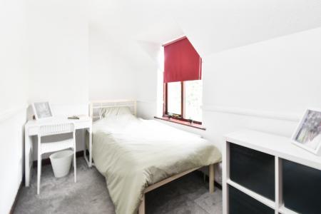 3 bedroom Semi-detached house to let in Henderson Road, Norwich, NR4