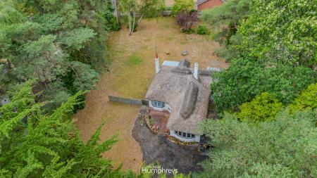 2 bedroom Detached bungalow to let in Woolsbridge Road, Ashley Heath