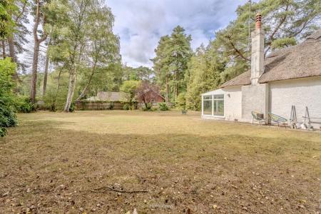 2 bedroom Detached bungalow to let in Woolsbridge Road, Ashley Heath