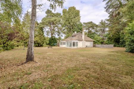 2 bedroom Detached bungalow to let in Woolsbridge Road, Ashley Heath
