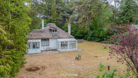 2 bedroom Detached bungalow to let in Woolsbridge Road, Ashley Heath