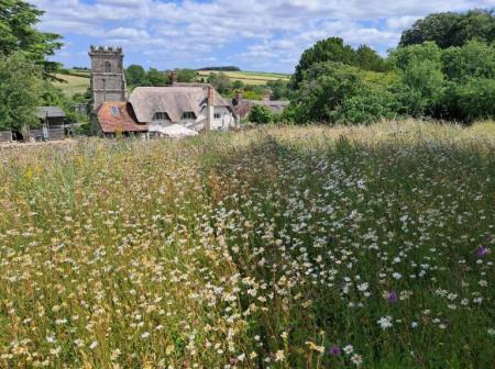 4 bedroom Detached house to let in Church Hill, Tarrant Hinton, Blandford Forum