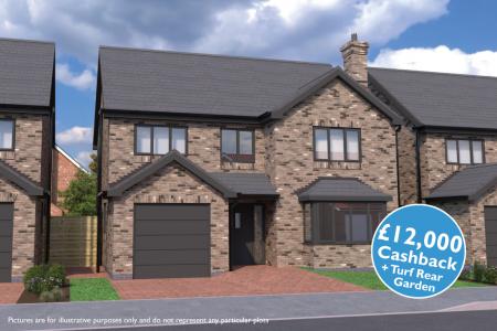 Plot 11 - The Duchess, Kings Grove, Grimsby, DN32