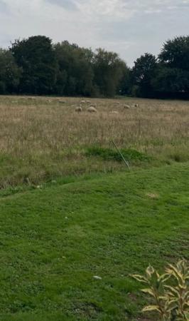 2 bedroom Semi-detached bungalow for sale in Jubilee Road, North Somercotes, LN11