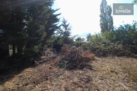 4 bedroom Detached bungalow for sale in Louth Road, North Cockerington, LN11