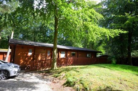 Kenwick Woods, Kenwick Park, Louth, LN11