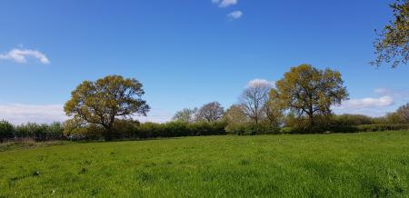 4 bedroom Detached house for sale in Main Road, Legsby, LN8