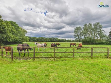 3 bedroom Detached house for sale in North End Lane, South Kelsey, LN7