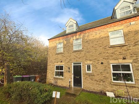 Squirrel Chase, Witham St Hughs, LN6