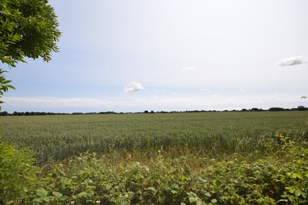 2 bedroom Park home for sale in Kelsey Woods Country Park, Monksthorpe, PE23