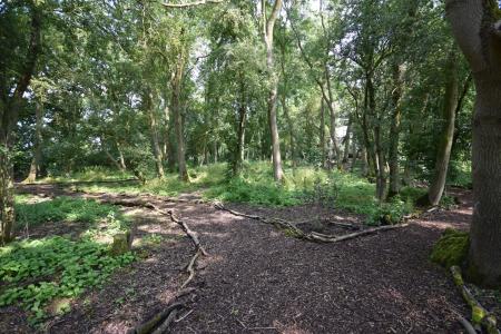 2 bedroom Park home for sale in Kelsey Woods Country Park, Monksthorpe, PE23