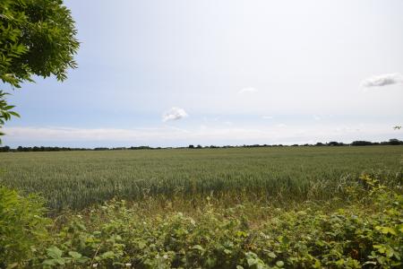 2 bedroom Park home for sale in Kelsey Woods Country Park, Monksthorpe, PE23