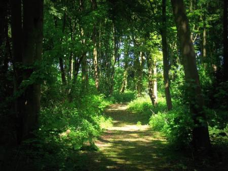 2 bedroom Park home for sale in Kelsey Woods Country Park, Monksthorpe, PE23