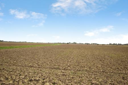 2 bedroom Detached bungalow for sale in Beacon Park Drive, Skegness, PE25