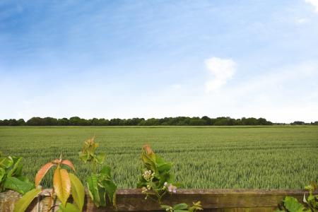 4 bedroom Bungalow for sale in Church Lane, Winthorpe, PE25
