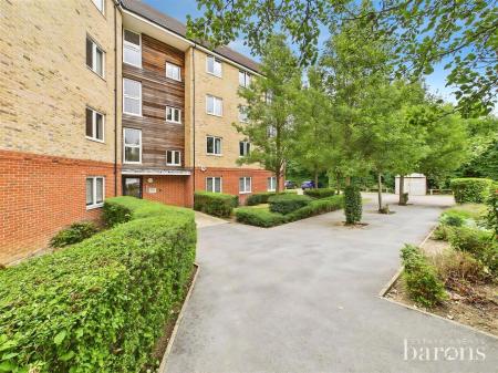 Skippetts Gardens, Basingstoke