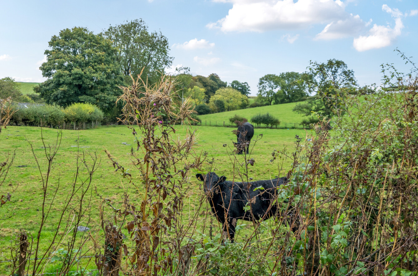 Thorlby, Skipton, North Yorkshire, BD23