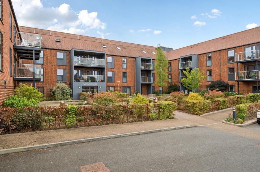 1 bedroom apartment to rent