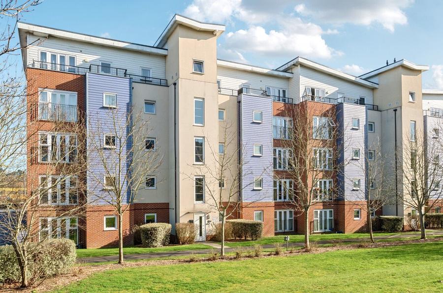 1 bedroom apartment to rent