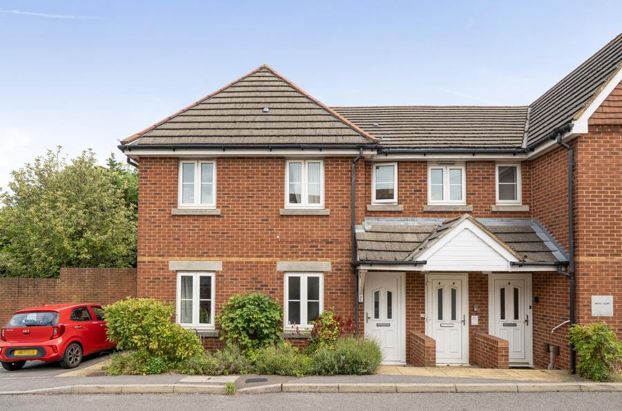 1 bedroom apartment to rent