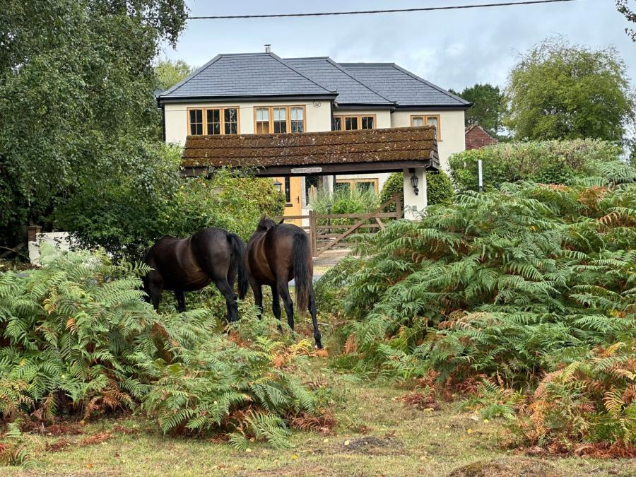 4 bedroom  detached house for sale