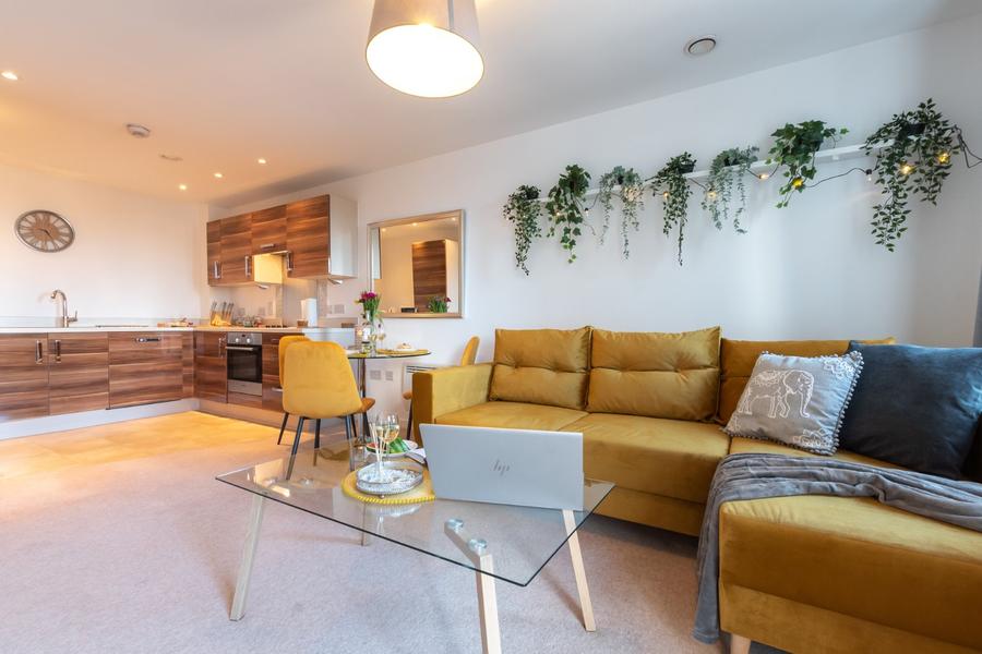 1 bedroom apartment to rent