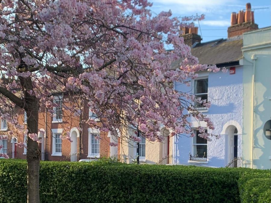 3 bedroom  terraced terraced house for sale