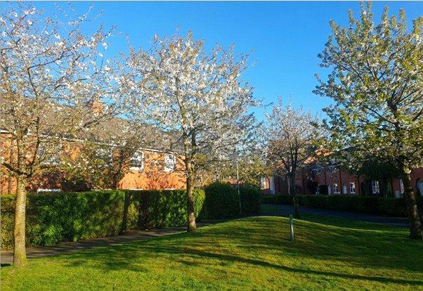 2 bedroom house to rent - Ernley Close, Nantwich, Cheshire, CW5 - Property View 2