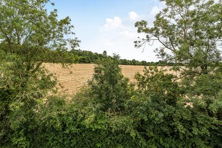 for sale slade oak lane london 22539 - Gibbs Gillespie