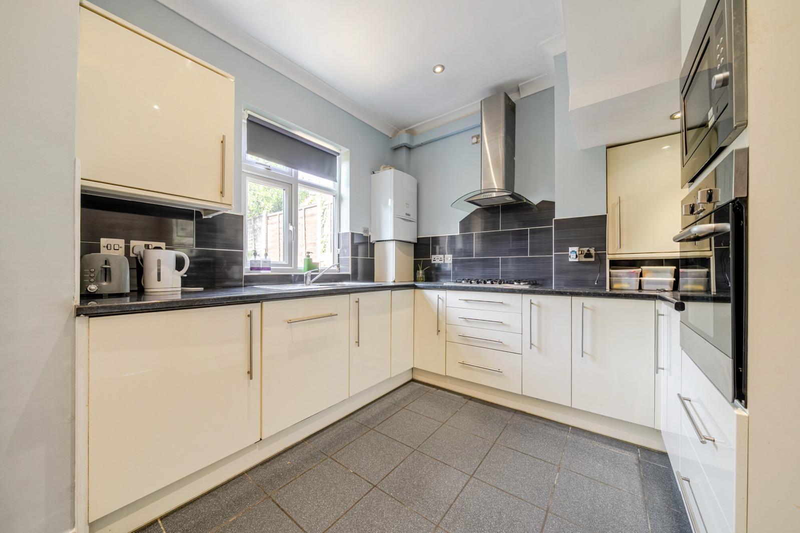 Lazy Owl Image
