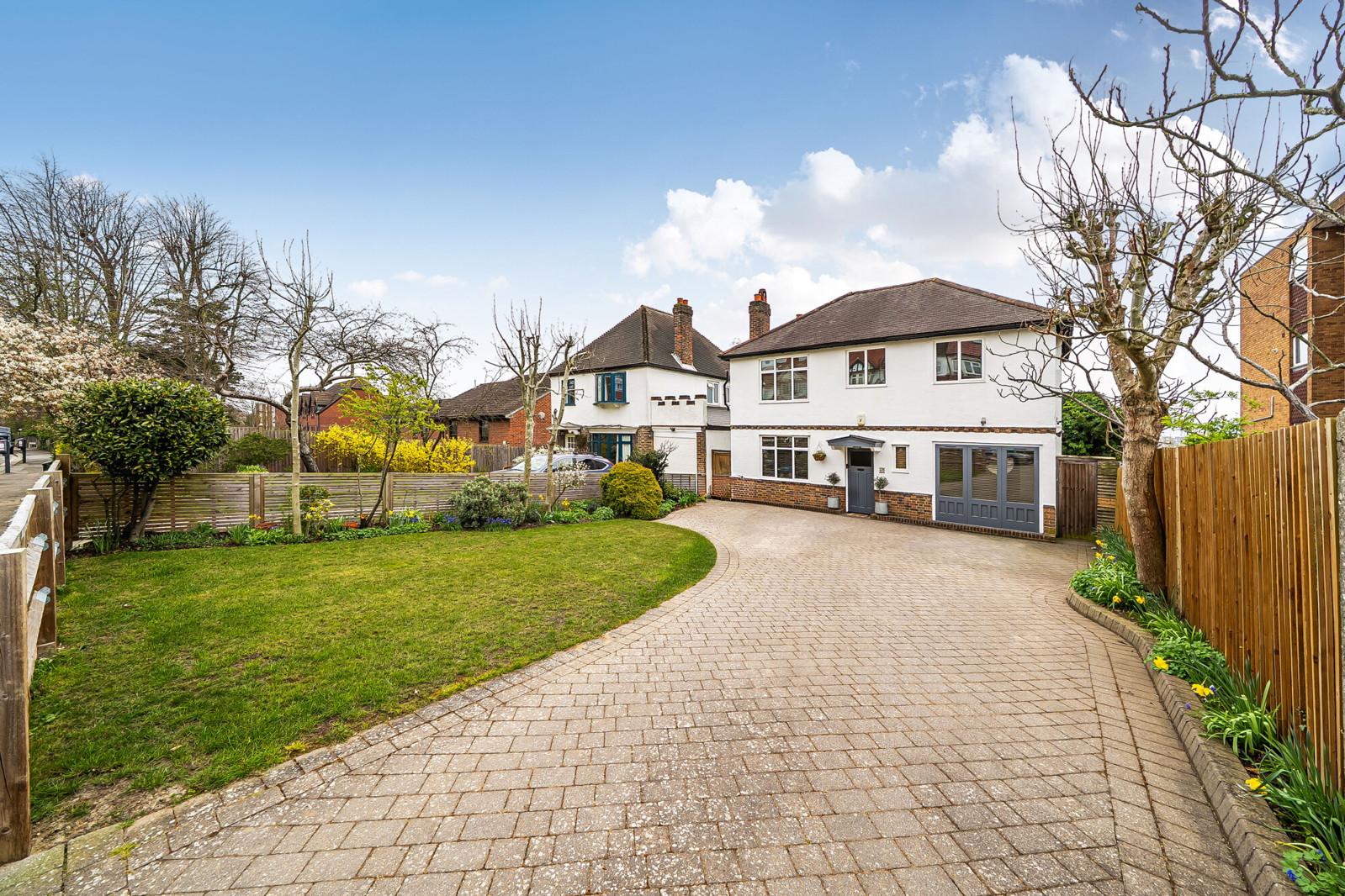 Lazy Owl Image