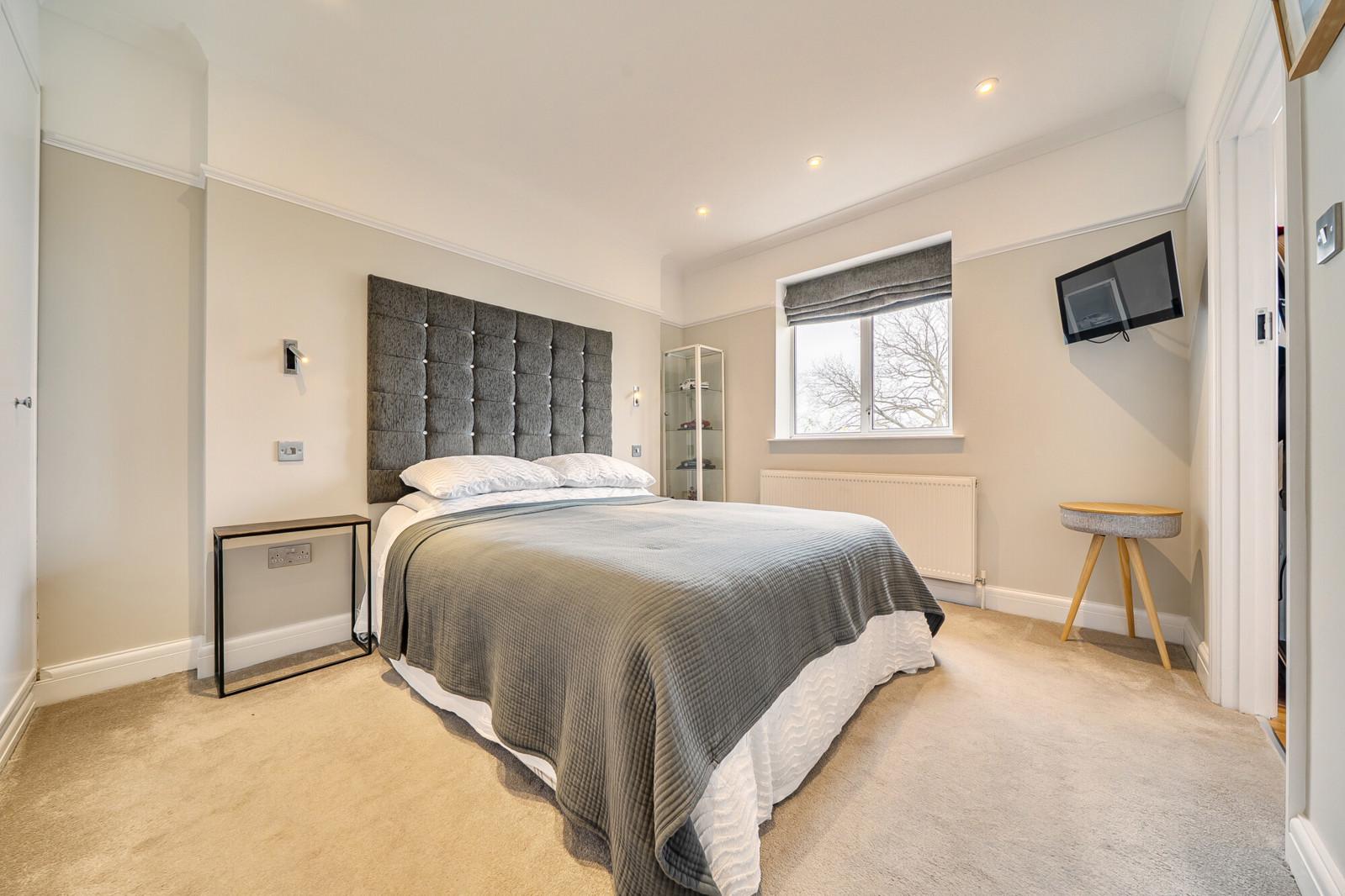 Lazy Owl Image