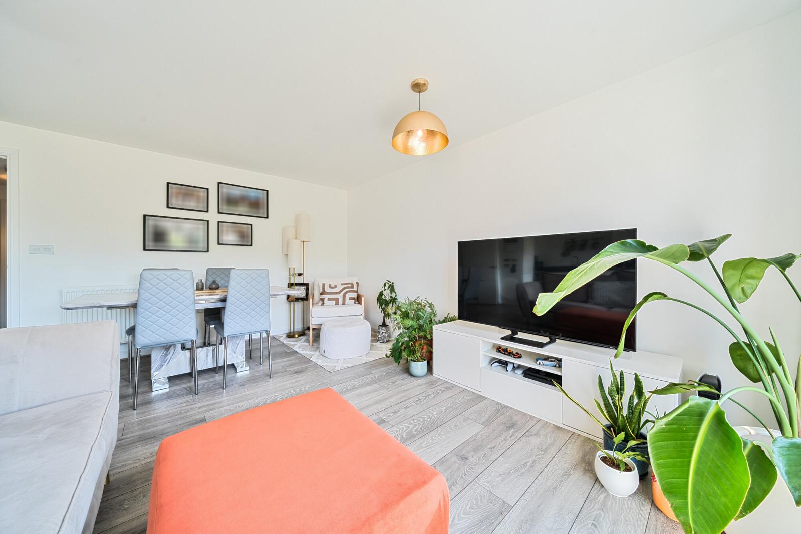 Lazy Owl Image