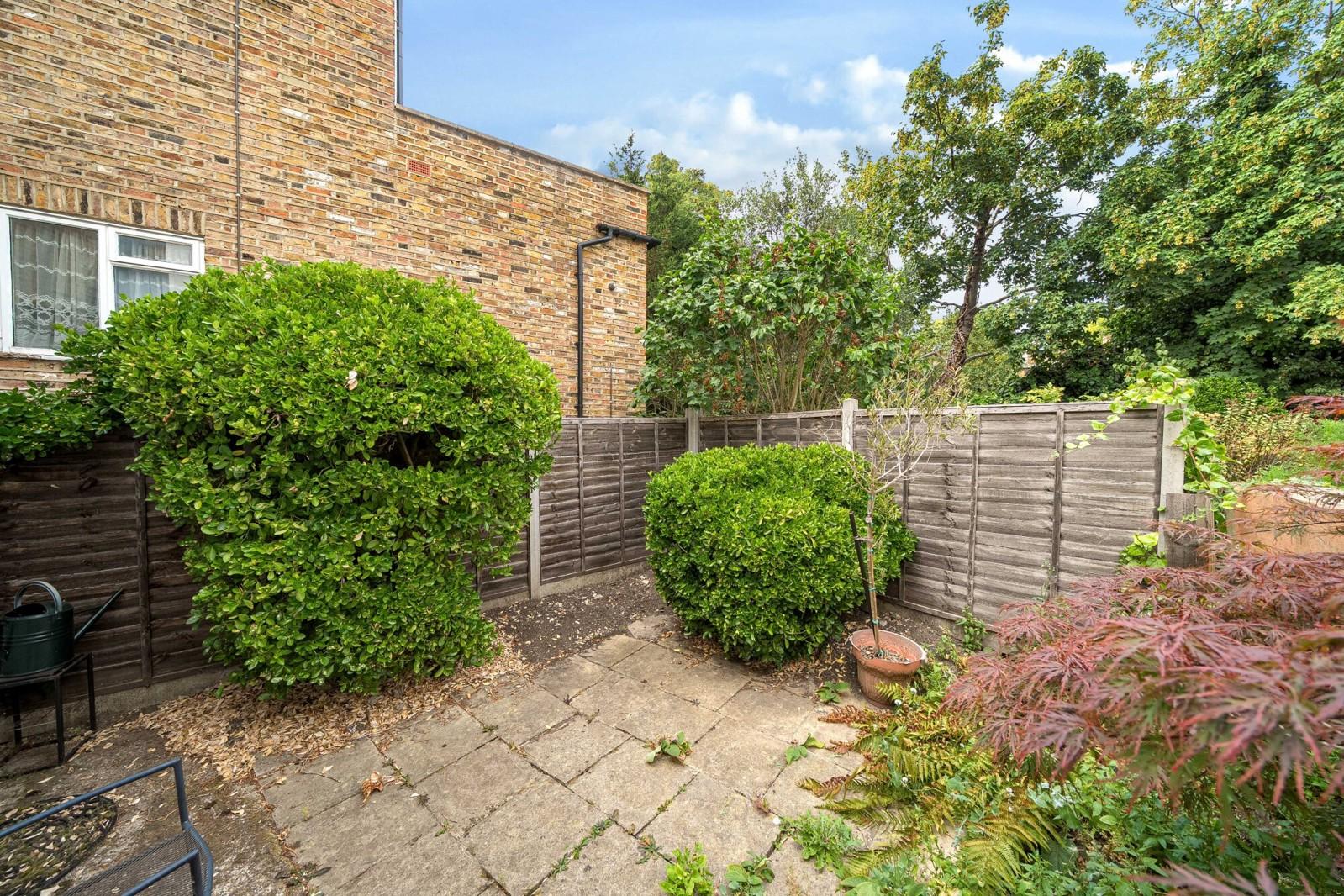 Lazy Owl Image