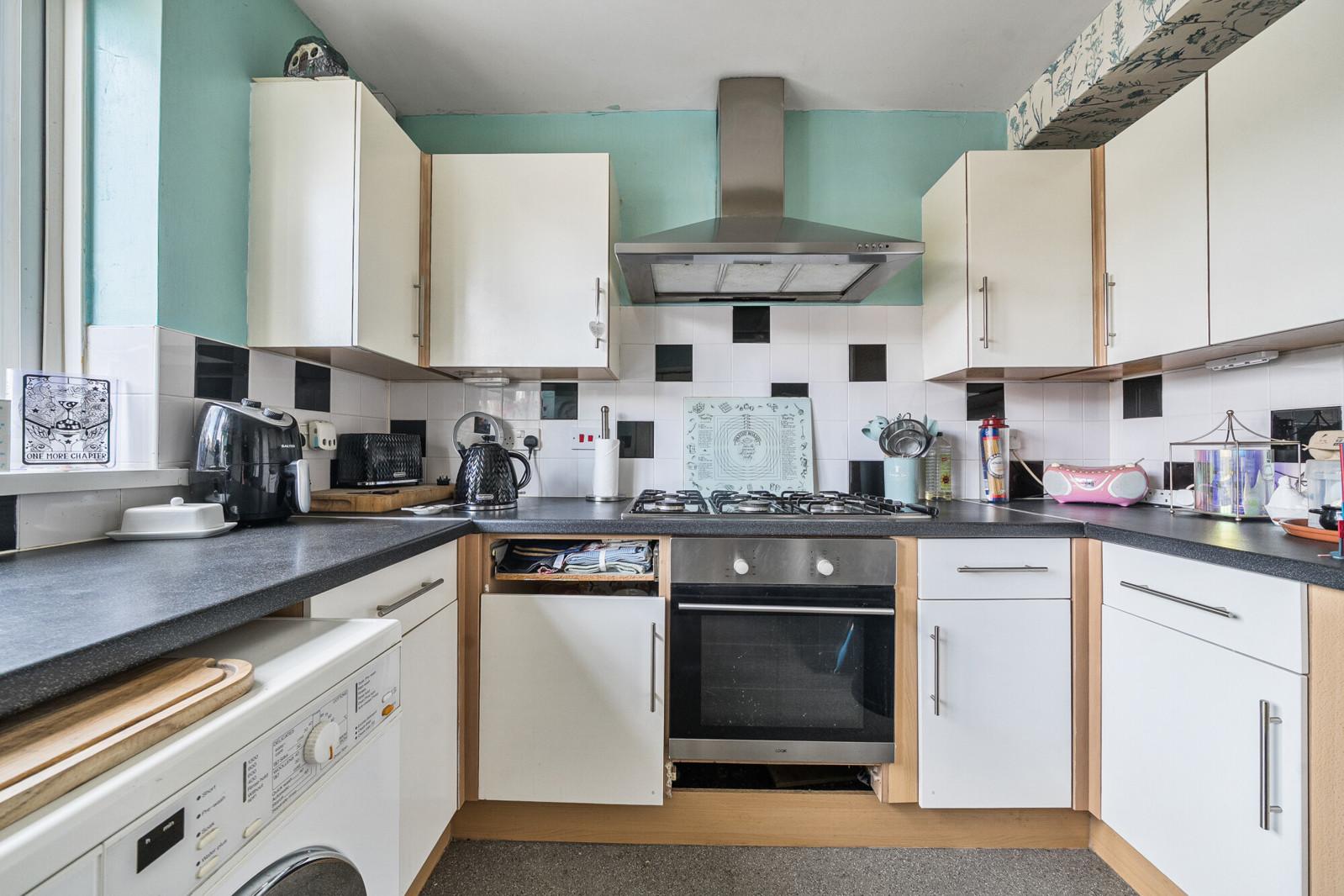 Lazy Owl Image