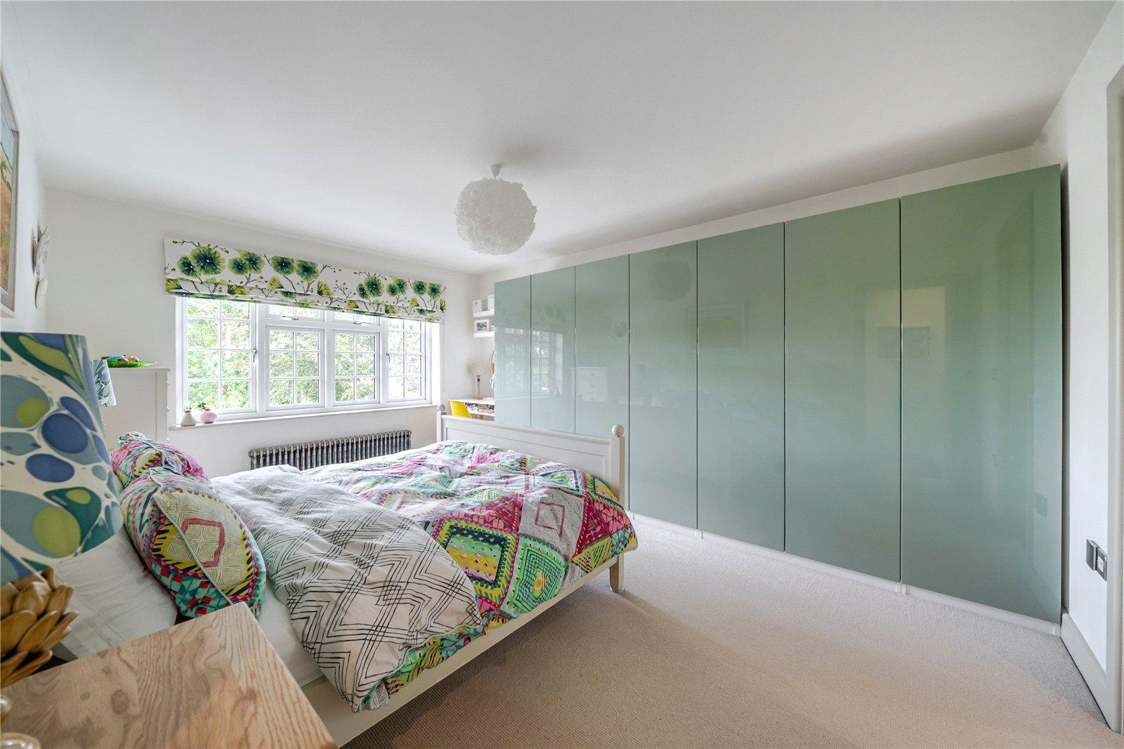 Lazy Owl Image