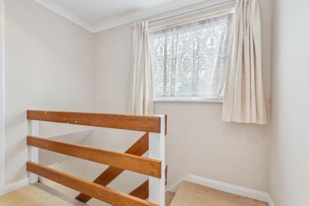 DSC_4800 - 800px.jpg