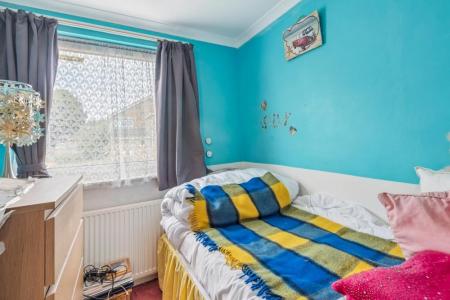 DSC_4818 - 800px.jpg