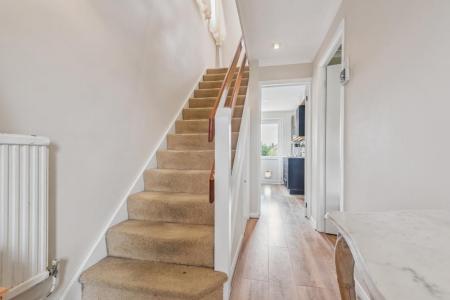 DSC_4727 - 800px.jpg