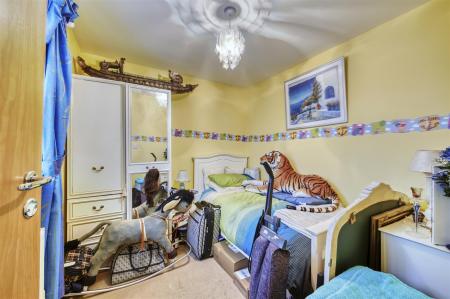 55 Springfield-11.jpg