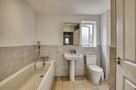 3 ShelduckD78_4901_HDR.jpg