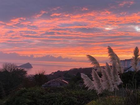 PHOTO-2026-02-20-16-08-59 (1).jpg