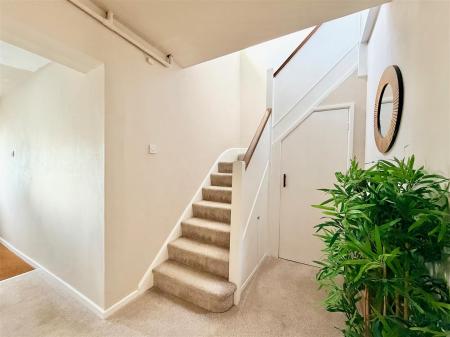 FullSizeRender 9.jpeg