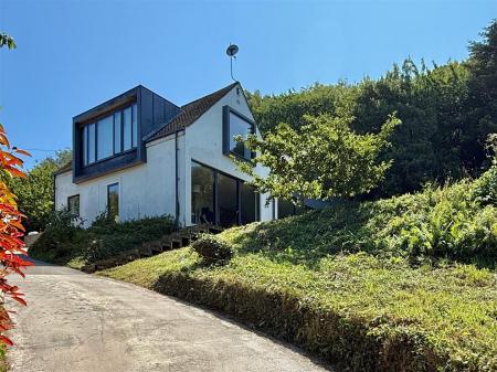 FullSizeRender 3.jpeg