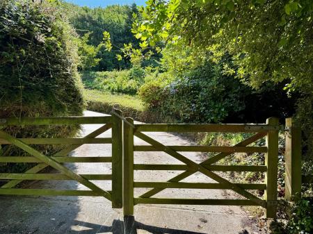 FullSizeRender 2.jpeg