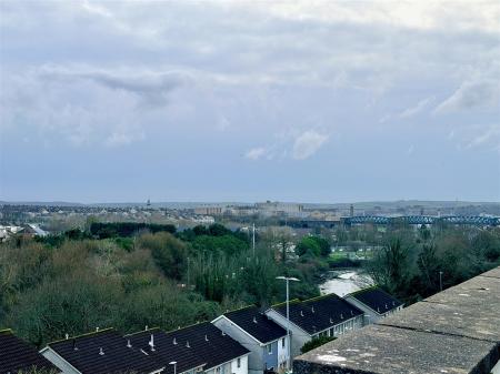 IMG_2040.jpeg