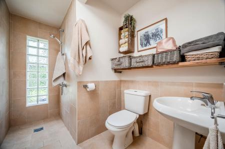 23_8 Belmont Park.jpg